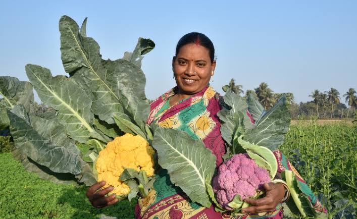 ORGANIC VEGETABLES